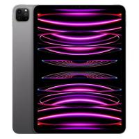 Apple 11 inch iPad Pro - WiFi 2TB - Space Grey (MNXM3X/A)